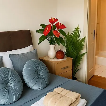 Homestay The Blue Haven - Calm And Cozy Cork